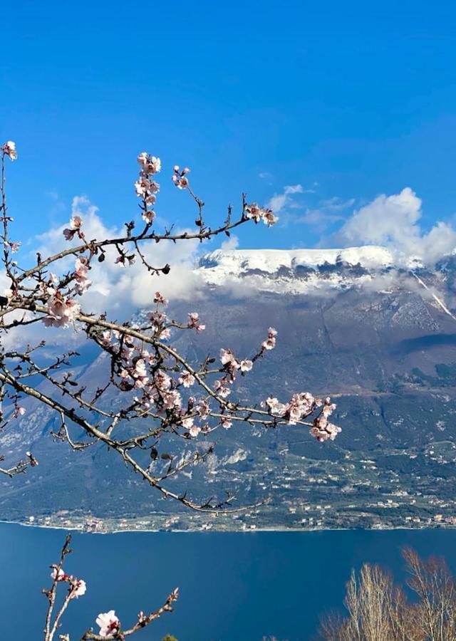 Appartamento Casa Doss Tremosine Esterno foto
